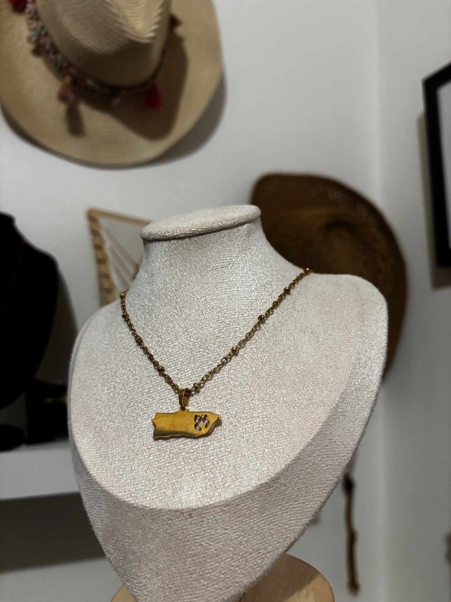 Map coqui taíno Necklace